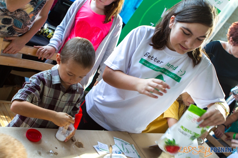 Luxfest 2014 - Strefa rozrywki - Poznań 27.09.2014 r. Foto: LepszyPOZNAN.pl / Paweł Rychter Luxfest 2014 - Strefa rozrywki - Poznań 27.09.2014 r. Foto: LepszyPOZNAN.pl / Paweł Rychter