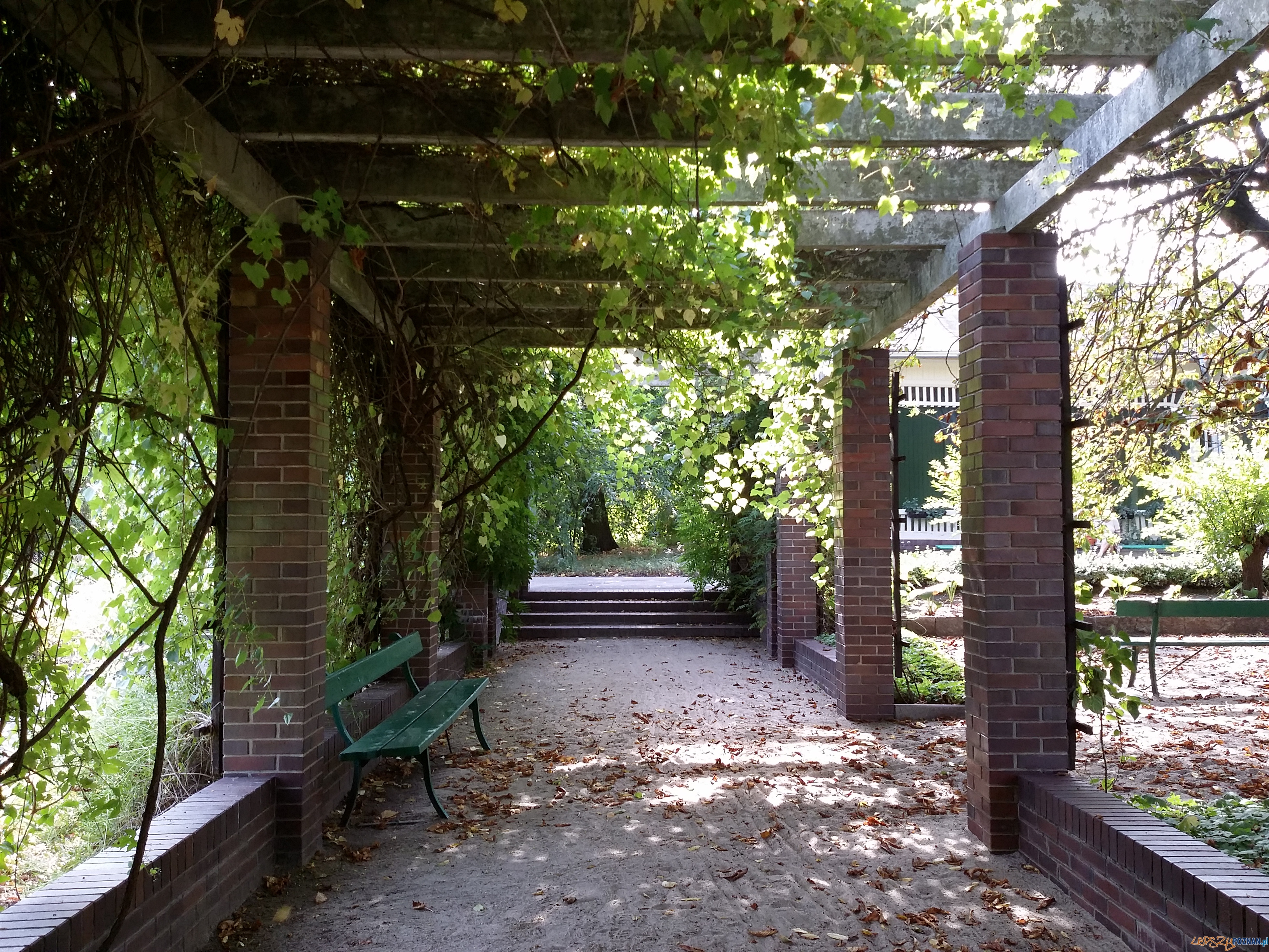 Botanik świętuje urodziny Foto: lepszyPOZNAN.pl / tab Botanik świętuje urodziny Foto: lepszyPOZNAN.pl / tab