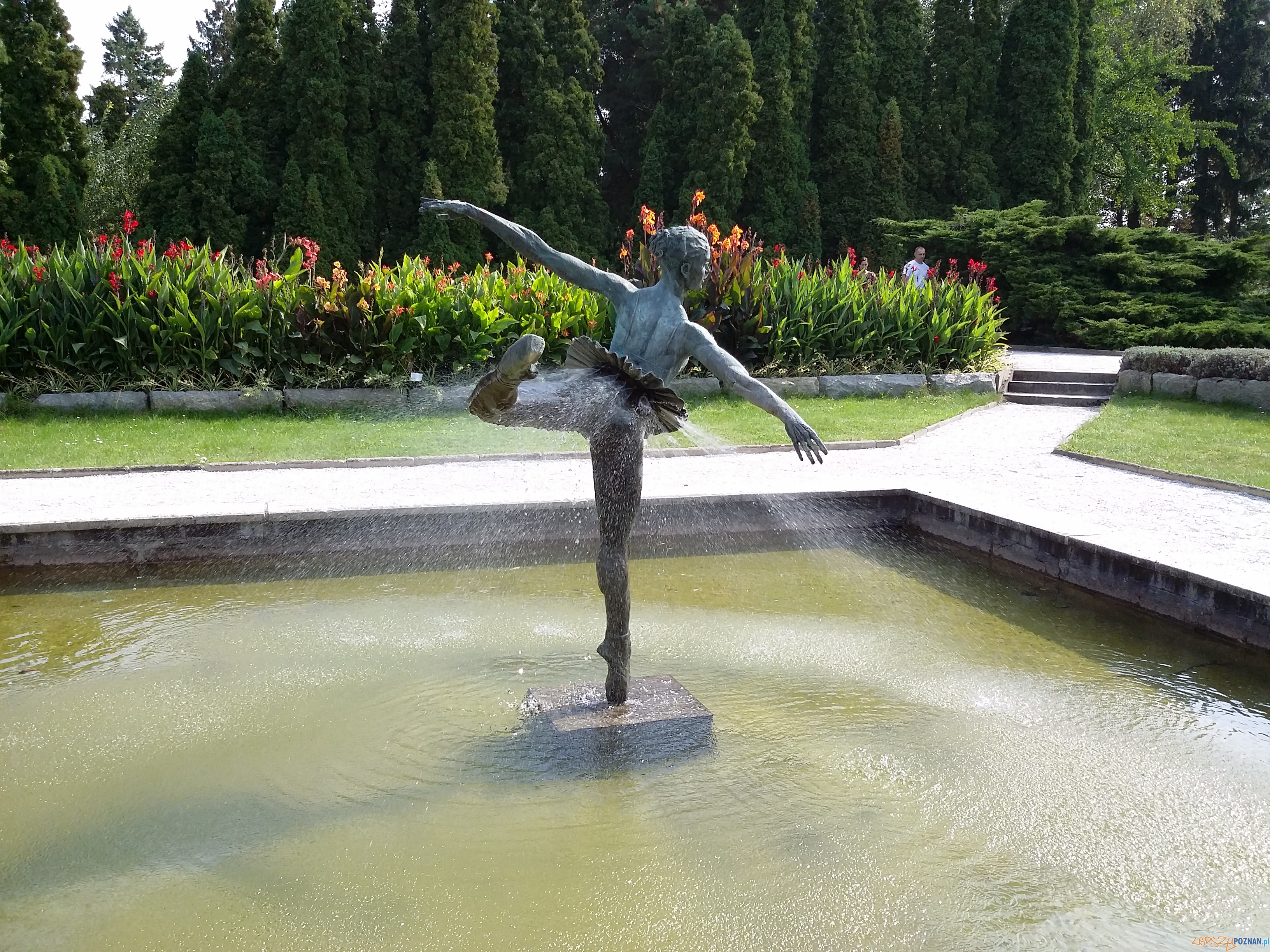 Botanik świętuje urodziny Foto: lepszyPOZNAN.pl / tab Botanik świętuje urodziny Foto: lepszyPOZNAN.pl / tab