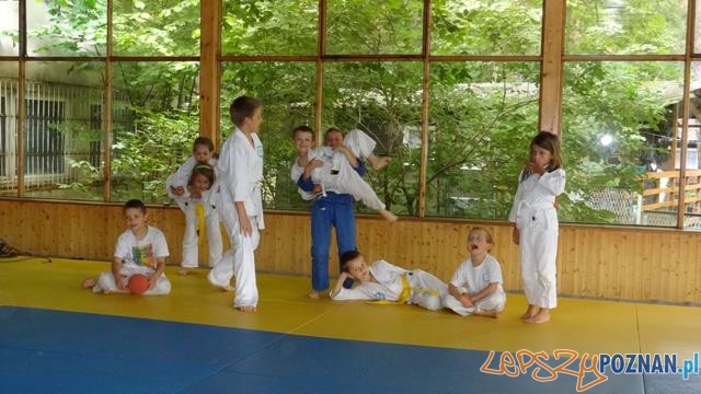 Akademia Judo dla maluchów  Foto: Akademia Judo