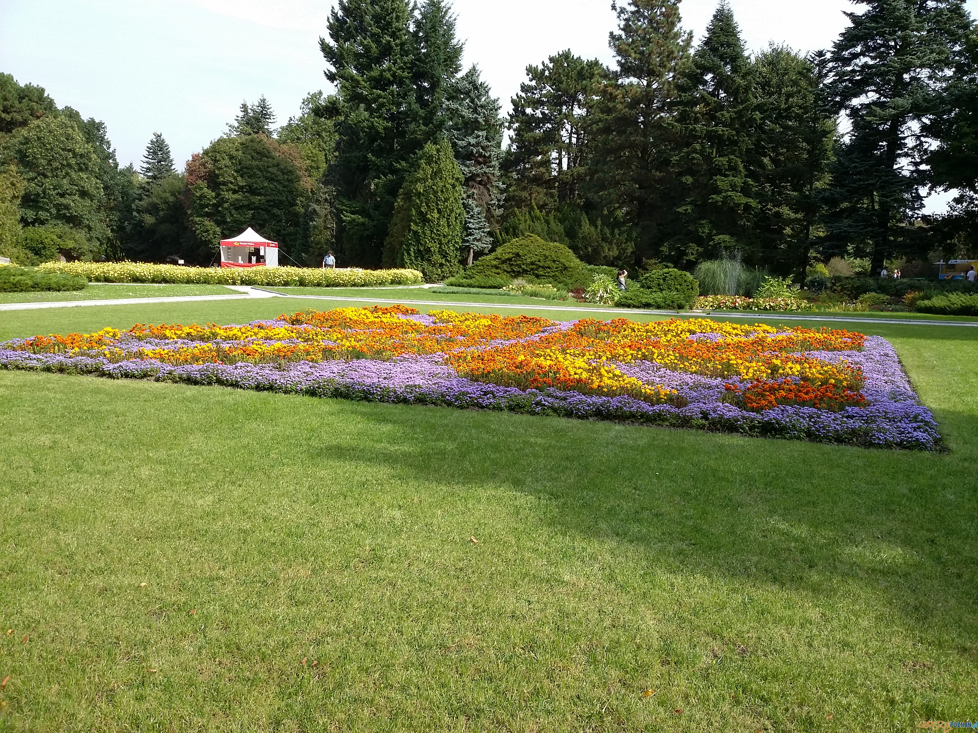 Botanik świętuje urodziny Foto: lepszyPOZNAN.pl / tab Botanik świętuje urodziny Foto: lepszyPOZNAN.pl / tab