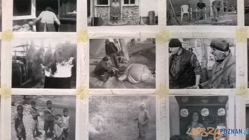 Poznańscy artyści w Bułgarii (5) Foto: Ventzislav Piriankov Poznańscy artyści w Bułgarii (5) Foto: Ventzislav Piriankov