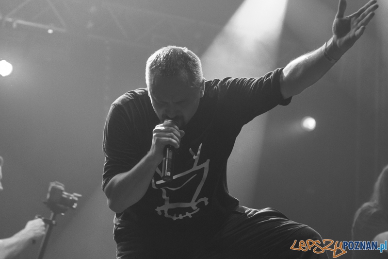 Luxfest 2014 - Jelonek - Poznań 28.09.2014 r. Foto: LepszyPOZNAN.pl / Paweł Rychter Luxfest 2014 - Jelonek - Poznań 28.09.2014 r. Foto: LepszyPOZNAN.pl / Paweł Rychter