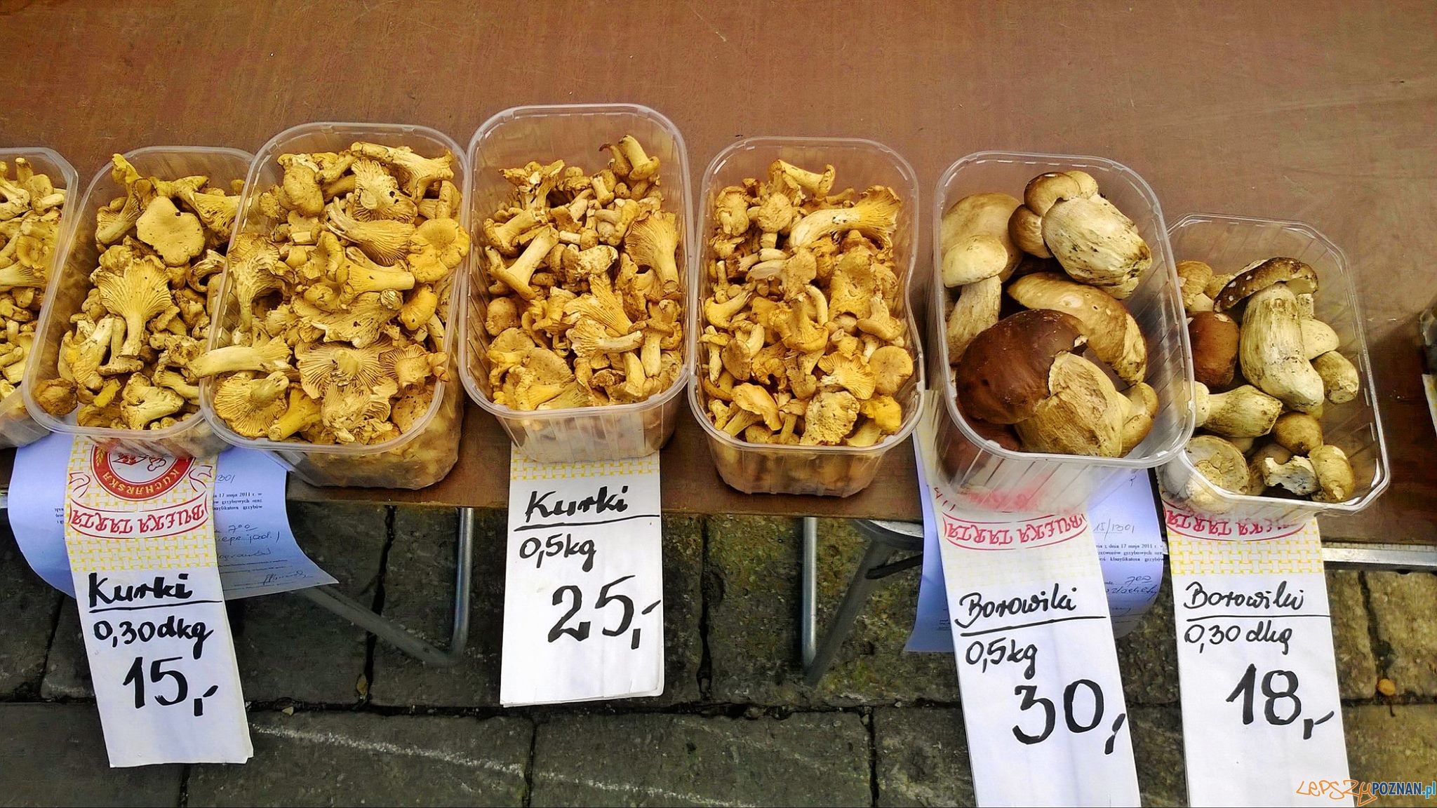 Grzyby na Jeżyckim Foto: lepszyPOZNAN.pl / TD Grzyby na Jeżyckim Foto: lepszyPOZNAN.pl / TD