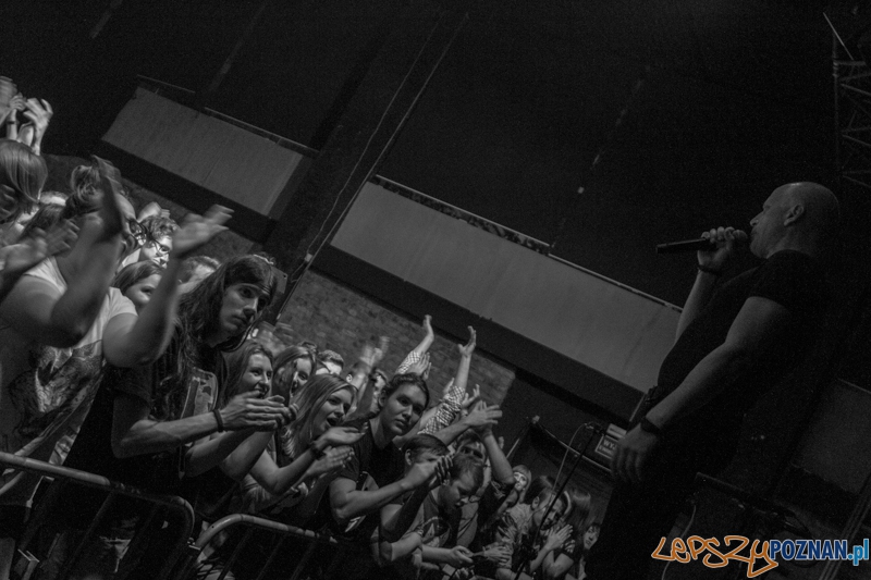 10 lat zespołu Muchy - Poznań 10.10.2014 r. Foto: LepszyPOZNAN.pl / Paweł Rychter 10 lat zespołu Muchy - Poznań 10.10.2014 r. Foto: LepszyPOZNAN.pl / Paweł Rychter