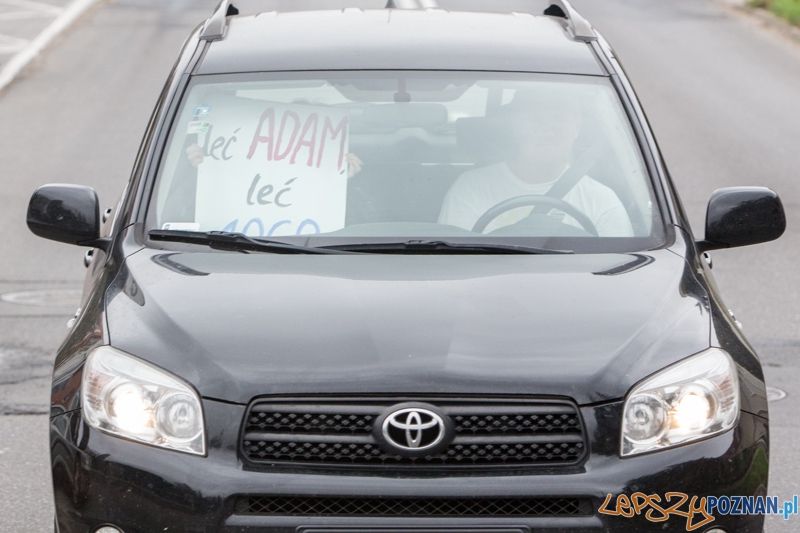 15. Poznań Maraton Foto: lepszyPOZNAN.pl / Piotr Rychter 15. Poznań Maraton Foto: lepszyPOZNAN.pl / Piotr Rychter