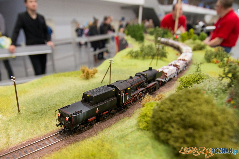 Targi Hobby 2014 Foto: lepszyPOZNAN.pl / Piotr Rychter Targi Hobby 2014 Foto: lepszyPOZNAN.pl / Piotr Rychter