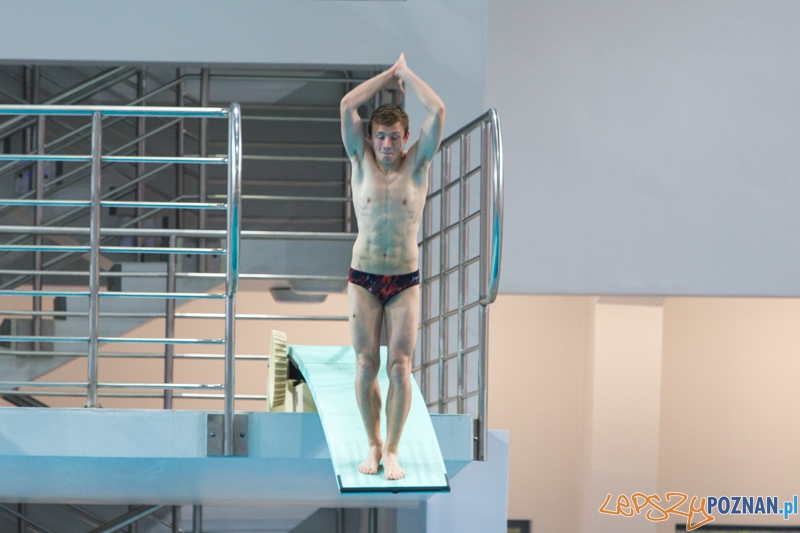 3 lata Term Maltańskich Foto: lepszyPOZNAN.pl / Piotr Rychter 3 lata Term Maltańskich Foto: lepszyPOZNAN.pl / Piotr Rychter