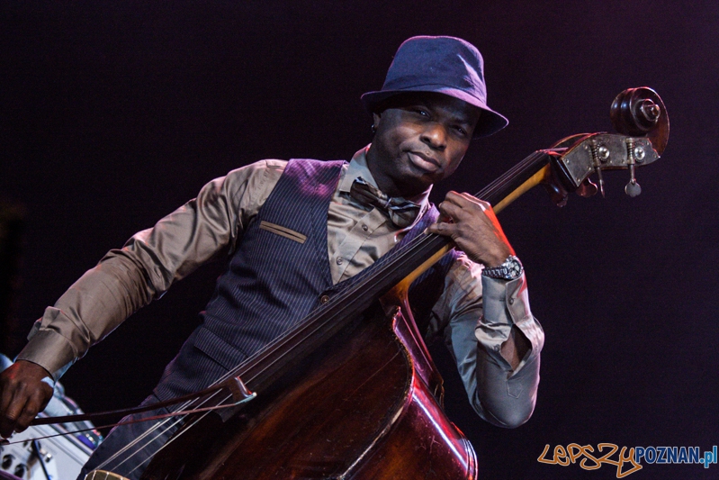 Chris Botti (5.10.2014) Sala Ziemi Foto: © LepszyPOZNAN.pl / Karolina Kiraga Chris Botti (5.10.2014) Sala Ziemi Foto: © LepszyPOZNAN.pl / Karolina Kiraga