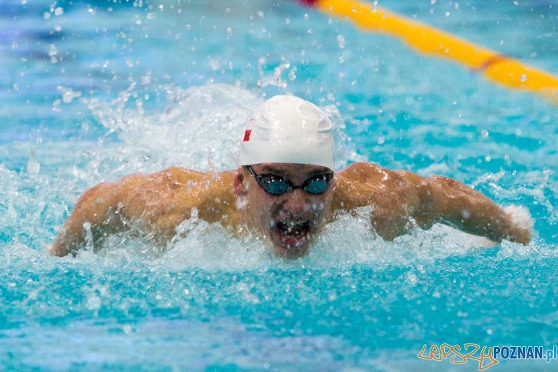 3 lata Term Maltańskich Foto: lepszyPOZNAN.pl / Piotr Rychter 3 lata Term Maltańskich Foto: lepszyPOZNAN.pl / Piotr Rychter