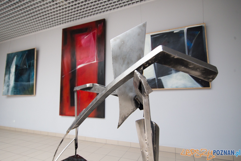 3 lata Term Maltańskich Foto: lepszyPOZNAN.pl / Piotr Rychter 3 lata Term Maltańskich Foto: lepszyPOZNAN.pl / Piotr Rychter