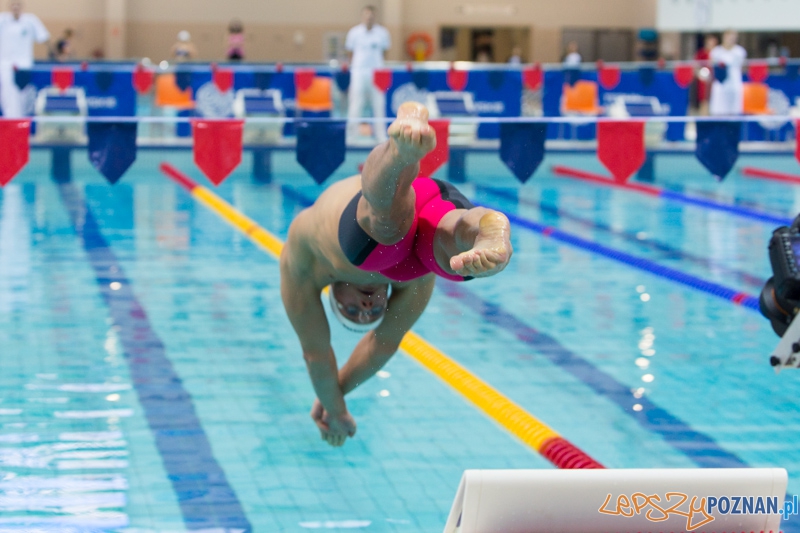 3 lata Term Maltańskich Foto: lepszyPOZNAN.pl / Piotr Rychter 3 lata Term Maltańskich Foto: lepszyPOZNAN.pl / Piotr Rychter