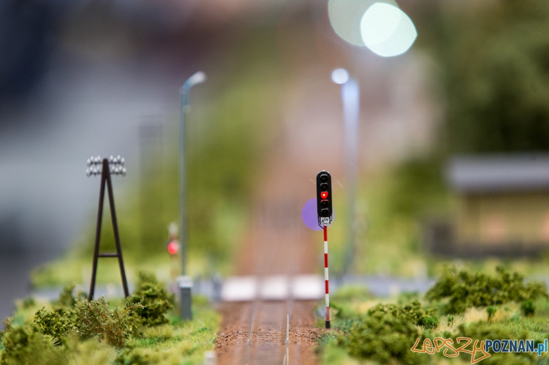 Targi Hobby 2014 Foto: lepszyPOZNAN.pl / Piotr Rychter Targi Hobby 2014 Foto: lepszyPOZNAN.pl / Piotr Rychter