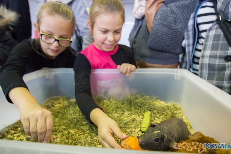Targi Aqua & Zoo 2014 Foto: lepszyPOZNAN.pl / Piotr Rychter Targi Aqua & Zoo 2014 Foto: lepszyPOZNAN.pl / Piotr Rychter