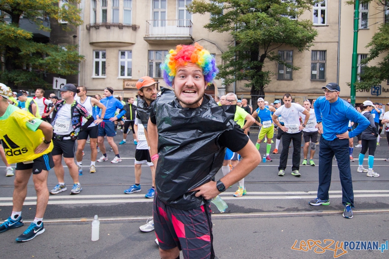 15. Poznań Maraton Foto: lepszyPOZNAN.pl / Piotr Rychter 15. Poznań Maraton Foto: lepszyPOZNAN.pl / Piotr Rychter