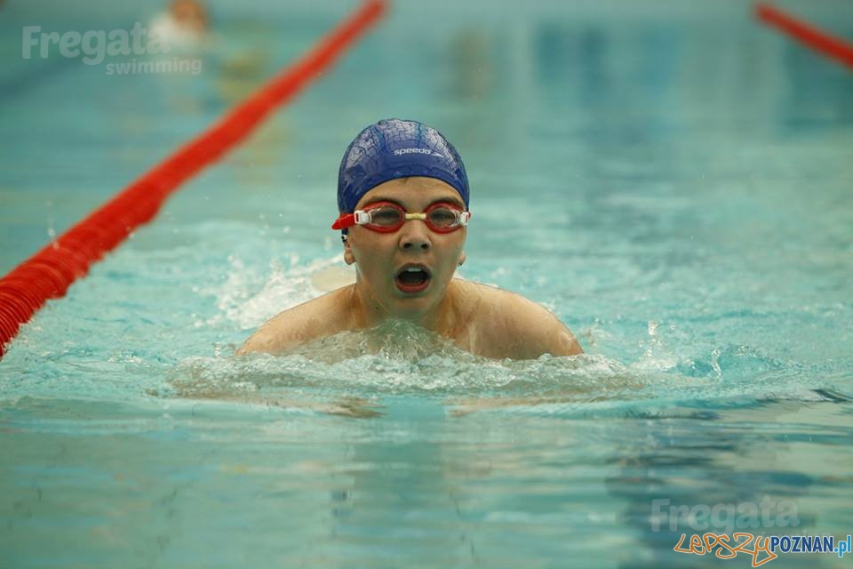 Najmłodsi pływacy Foto: Fregata Najmłodsi pływacy Foto: Fregata