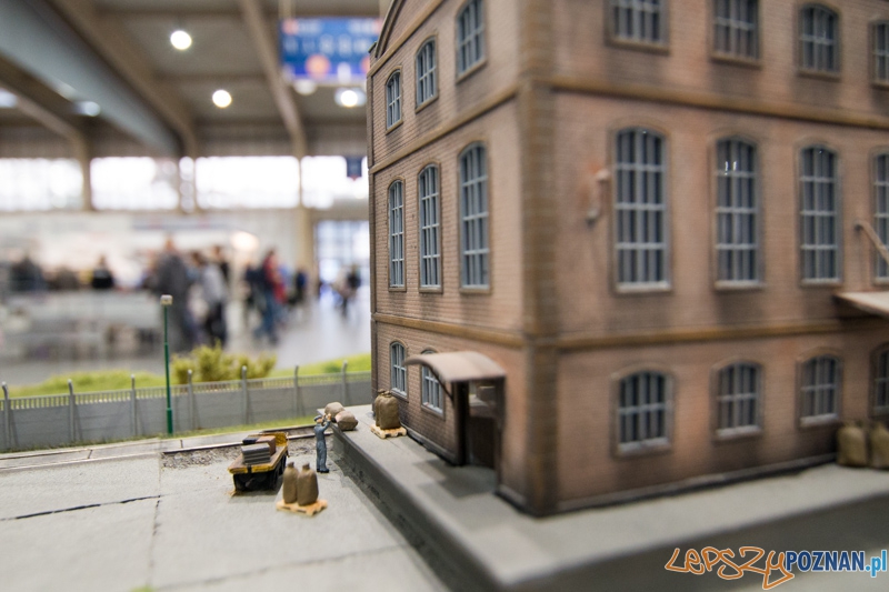 Targi Hobby 2014 Foto: lepszyPOZNAN.pl / Piotr Rychter Targi Hobby 2014 Foto: lepszyPOZNAN.pl / Piotr Rychter