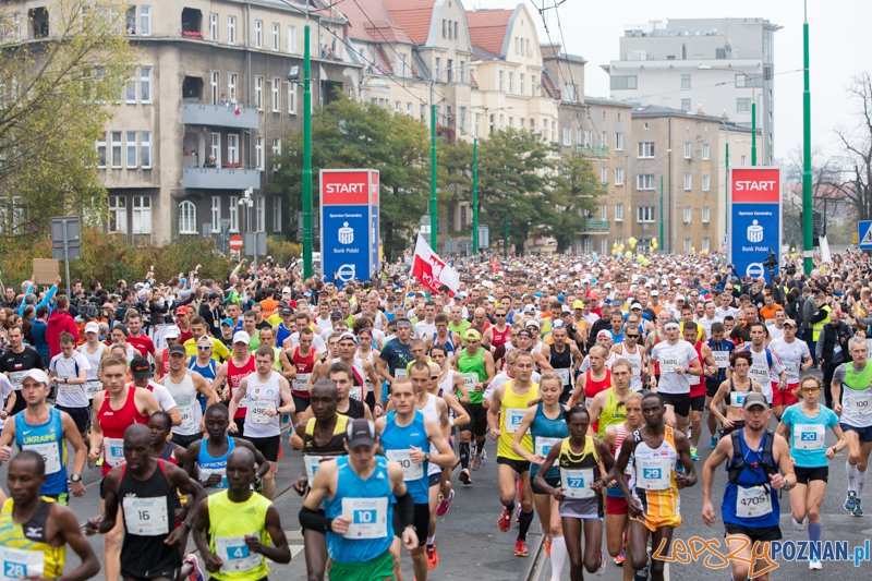 15. Poznań Maraton Foto: lepszyPOZNAN.pl / Piotr Rychter 15. Poznań Maraton Foto: lepszyPOZNAN.pl / Piotr Rychter