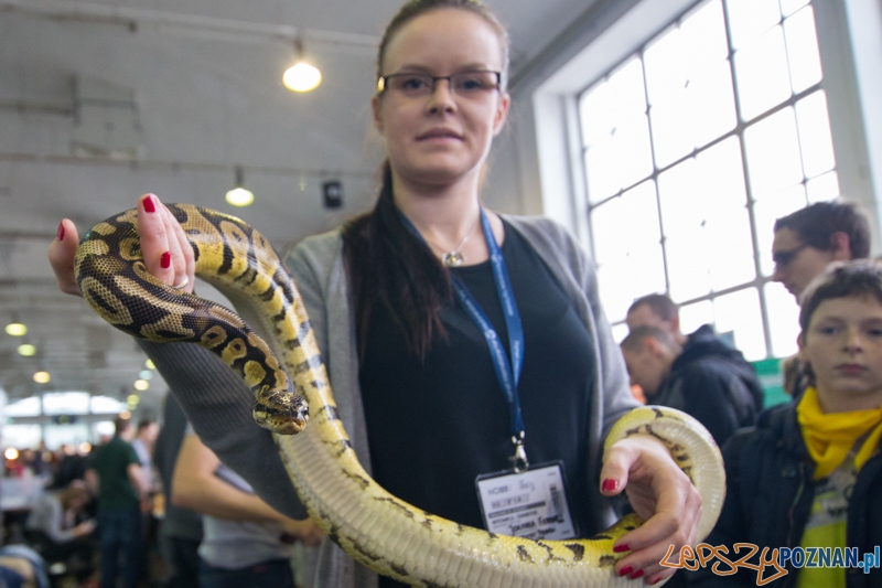 Targi Aqua & Zoo 2014 Foto: lepszyPOZNAN.pl / Piotr Rychter Targi Aqua & Zoo 2014 Foto: lepszyPOZNAN.pl / Piotr Rychter