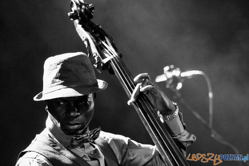 Chris Botti (5.10.2014) Sala Ziemi Foto: © LepszyPOZNAN.pl / Karolina Kiraga Chris Botti (5.10.2014) Sala Ziemi Foto: © LepszyPOZNAN.pl / Karolina Kiraga