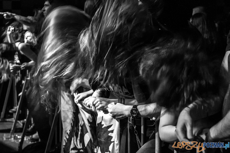 Grave w Eskulapie - 18.10.2014 r. Foto: LepszyPOZNAN.pl / Paweł Rychter Grave w Eskulapie - 18.10.2014 r. Foto: LepszyPOZNAN.pl / Paweł Rychter