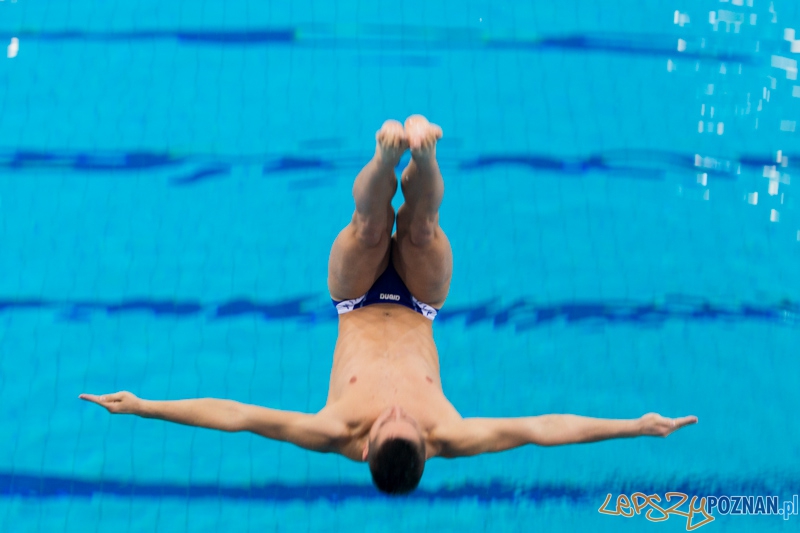 3 lata Term Maltańskich Foto: lepszyPOZNAN.pl / Piotr Rychter 3 lata Term Maltańskich Foto: lepszyPOZNAN.pl / Piotr Rychter