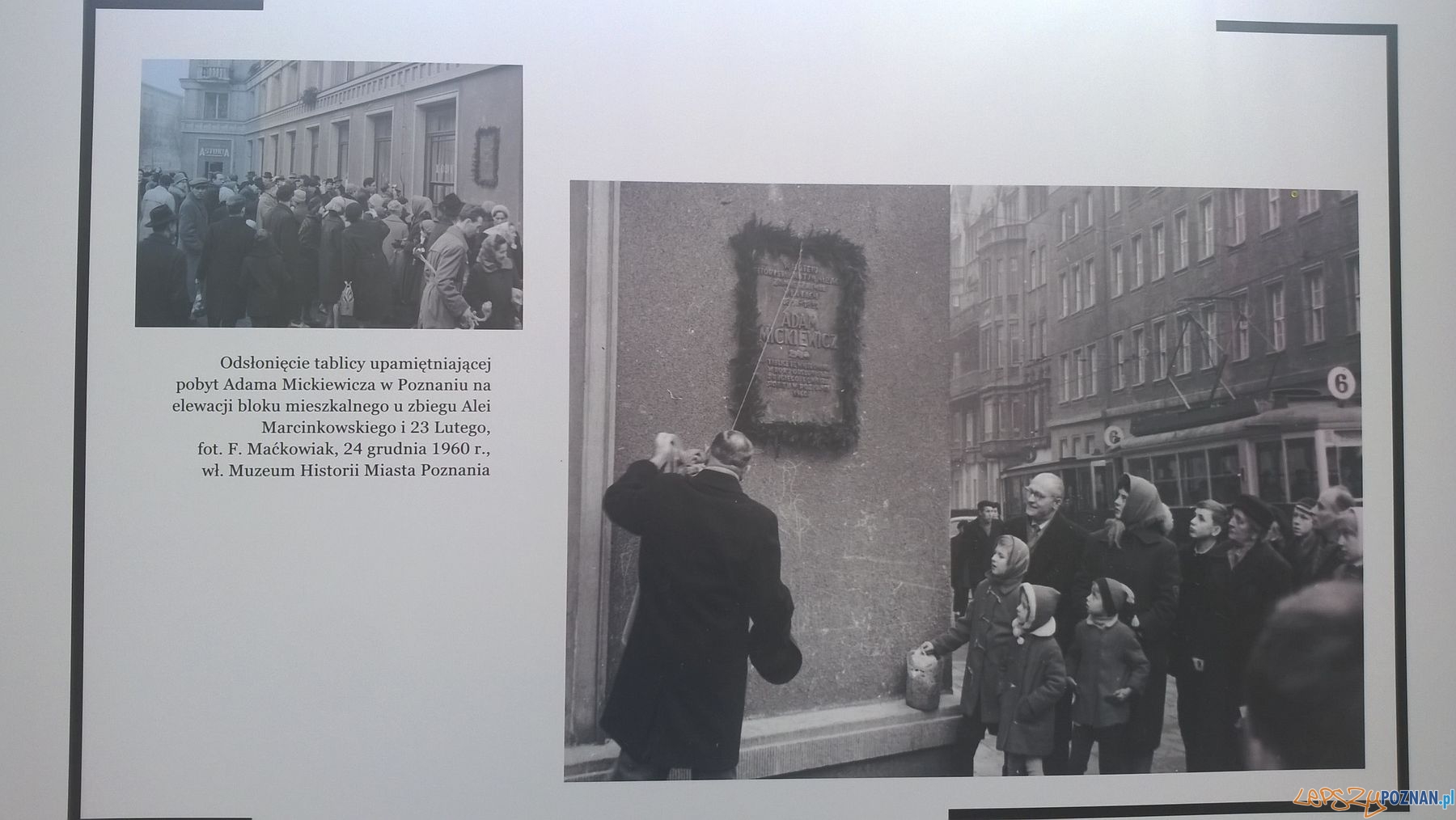 Poznańskie archiwa na Placu Wolności (1) Foto: TD Poznańskie archiwa na Placu Wolności (1) Foto: TD