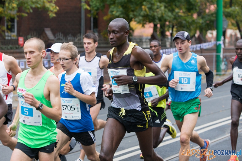 15. Poznań Maraton Foto: lepszyPOZNAN.pl / Piotr Rychter 15. Poznań Maraton Foto: lepszyPOZNAN.pl / Piotr Rychter