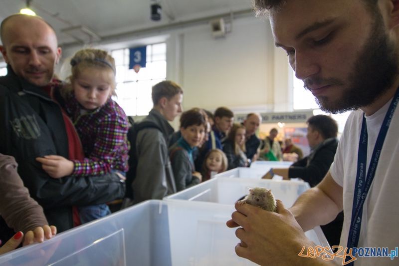 Targi Aqua & Zoo 2014 Foto: lepszyPOZNAN.pl / Piotr Rychter Targi Aqua & Zoo 2014 Foto: lepszyPOZNAN.pl / Piotr Rychter