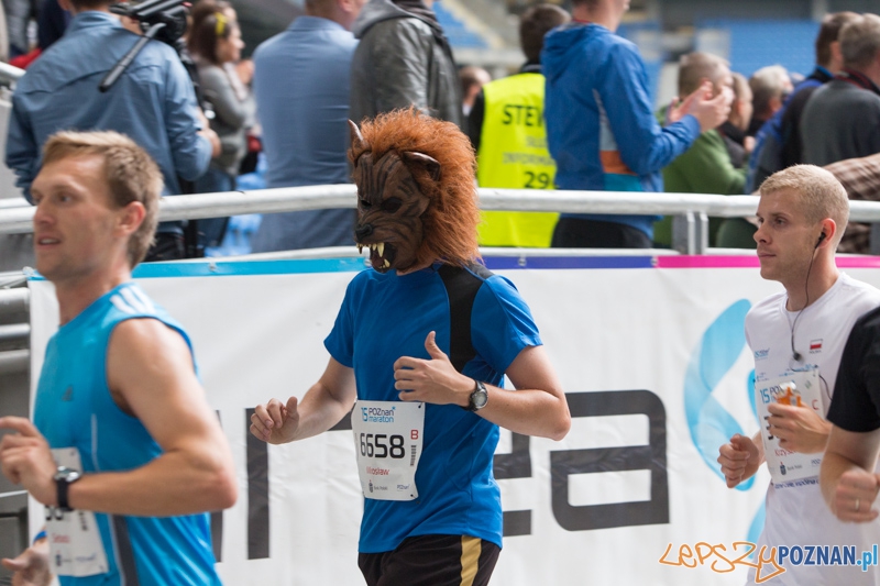 15. Poznań Maraton Foto: lepszyPOZNAN.pl / Piotr Rychter 15. Poznań Maraton Foto: lepszyPOZNAN.pl / Piotr Rychter