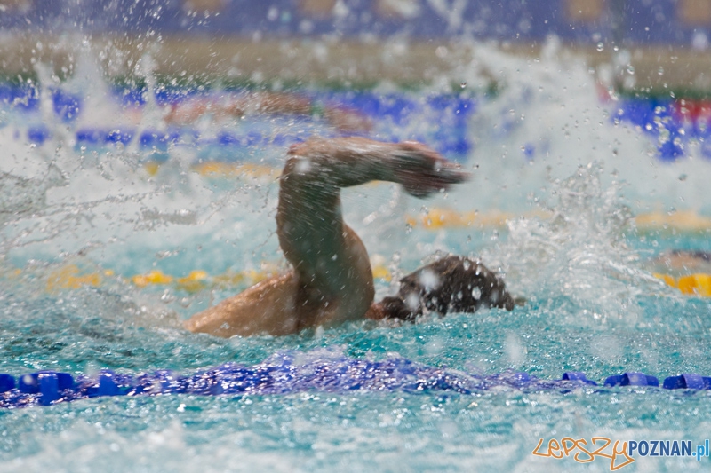 3 lata Term Maltańskich Foto: lepszyPOZNAN.pl / Piotr Rychter 3 lata Term Maltańskich Foto: lepszyPOZNAN.pl / Piotr Rychter