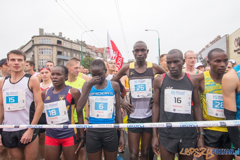15. Poznań Maraton Foto: lepszyPOZNAN.pl / Piotr Rychter 15. Poznań Maraton Foto: lepszyPOZNAN.pl / Piotr Rychter