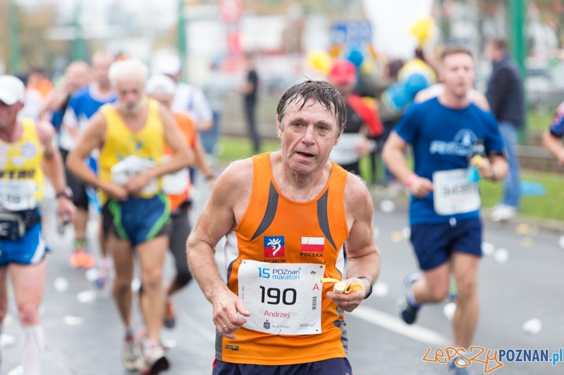 15. Poznań Maraton Foto: lepszyPOZNAN.pl / Piotr Rychter 15. Poznań Maraton Foto: lepszyPOZNAN.pl / Piotr Rychter