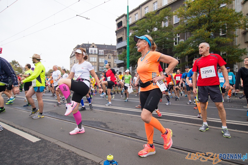 15. Poznań Maraton Foto: lepszyPOZNAN.pl / Piotr Rychter 15. Poznań Maraton Foto: lepszyPOZNAN.pl / Piotr Rychter