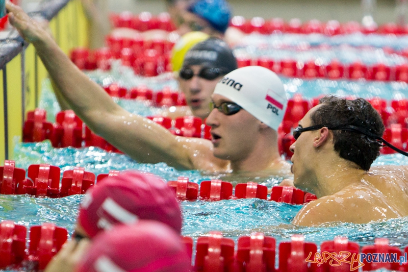 3 lata Term Maltańskich Foto: lepszyPOZNAN.pl / Piotr Rychter 3 lata Term Maltańskich Foto: lepszyPOZNAN.pl / Piotr Rychter
