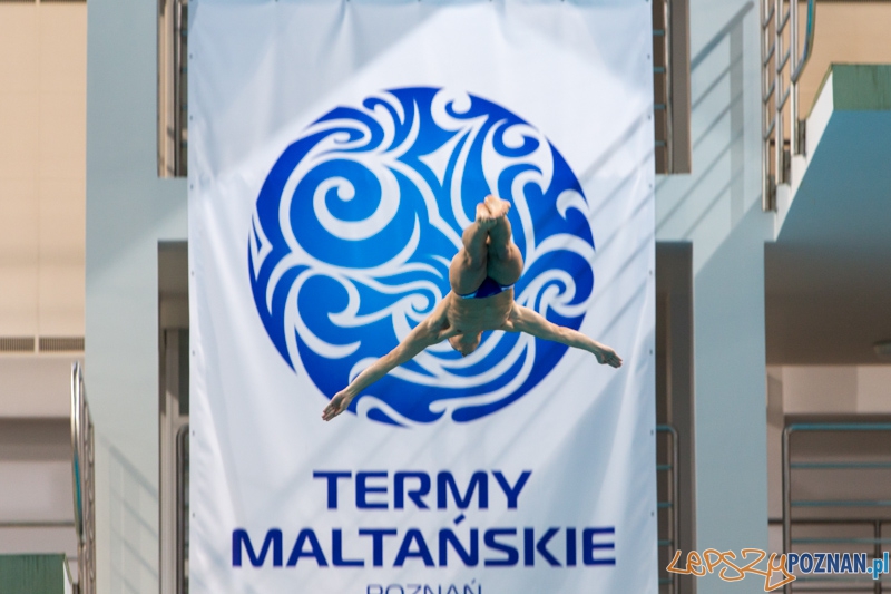 3 lata Term Maltańskich Foto: lepszyPOZNAN.pl / Piotr Rychter 3 lata Term Maltańskich Foto: lepszyPOZNAN.pl / Piotr Rychter