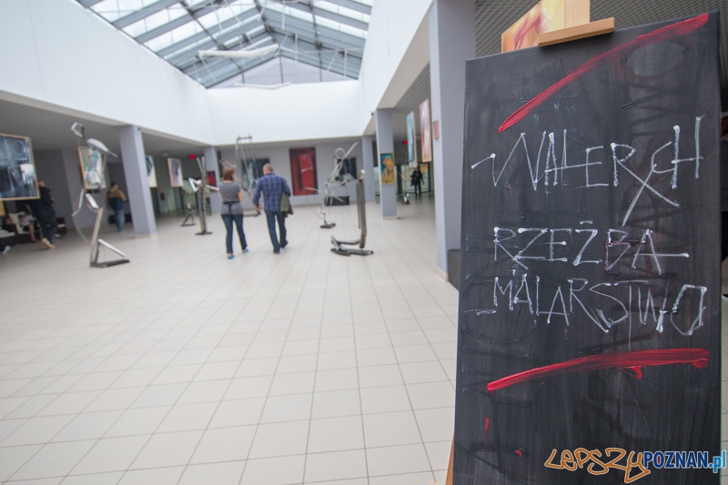 3 lata Term Maltańskich Foto: lepszyPOZNAN.pl / Piotr Rychter 3 lata Term Maltańskich Foto: lepszyPOZNAN.pl / Piotr Rychter