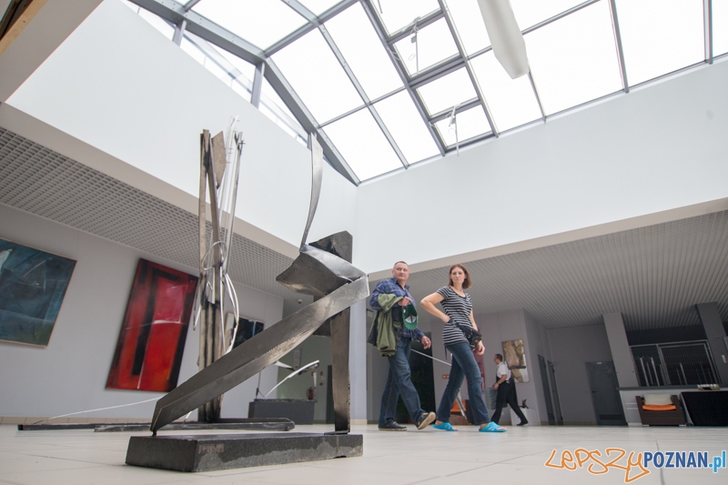 3 lata Term Maltańskich Foto: lepszyPOZNAN.pl / Piotr Rychter 3 lata Term Maltańskich Foto: lepszyPOZNAN.pl / Piotr Rychter