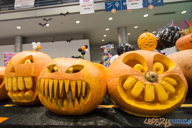 Targi Hobby 2014 Foto: lepszyPOZNAN.pl / Piotr Rychter Targi Hobby 2014 Foto: lepszyPOZNAN.pl / Piotr Rychter