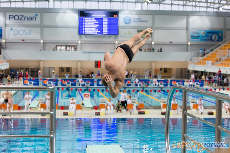 3 lata Term Maltańskich Foto: lepszyPOZNAN.pl / Piotr Rychter 3 lata Term Maltańskich Foto: lepszyPOZNAN.pl / Piotr Rychter