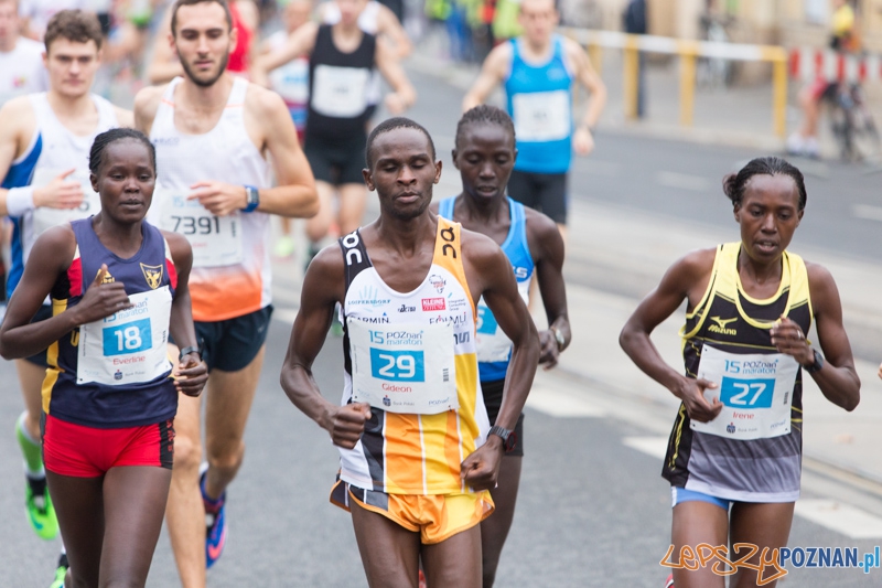 15. Poznań Maraton Foto: lepszyPOZNAN.pl / Piotr Rychter 15. Poznań Maraton Foto: lepszyPOZNAN.pl / Piotr Rychter