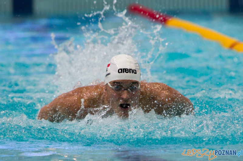 3 lata Term Maltańskich Foto: lepszyPOZNAN.pl / Piotr Rychter 3 lata Term Maltańskich Foto: lepszyPOZNAN.pl / Piotr Rychter