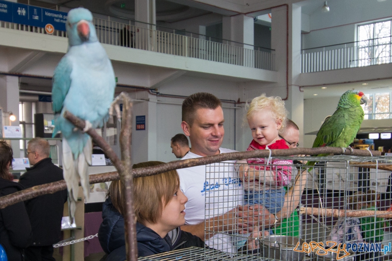 Targi Aqua & Zoo 2014 Foto: lepszyPOZNAN.pl / Piotr Rychter Targi Aqua & Zoo 2014 Foto: lepszyPOZNAN.pl / Piotr Rychter