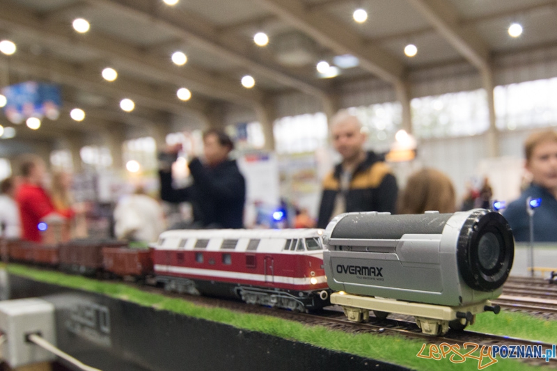 Targi Hobby 2014 Foto: lepszyPOZNAN.pl / Piotr Rychter Targi Hobby 2014 Foto: lepszyPOZNAN.pl / Piotr Rychter