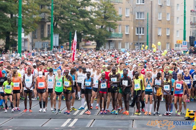 15. Poznań Maraton Foto: lepszyPOZNAN.pl / Piotr Rychter 15. Poznań Maraton Foto: lepszyPOZNAN.pl / Piotr Rychter