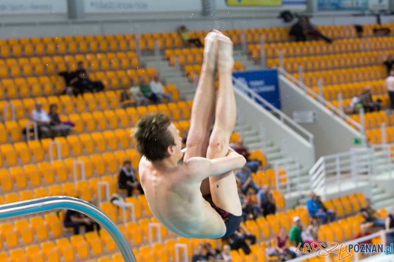 3 lata Term Maltańskich Foto: lepszyPOZNAN.pl / Piotr Rychter 3 lata Term Maltańskich Foto: lepszyPOZNAN.pl / Piotr Rychter