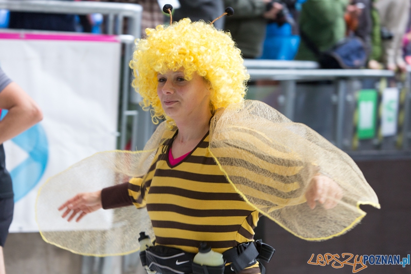 15. Poznań Maraton Foto: lepszyPOZNAN.pl / Piotr Rychter 15. Poznań Maraton Foto: lepszyPOZNAN.pl / Piotr Rychter