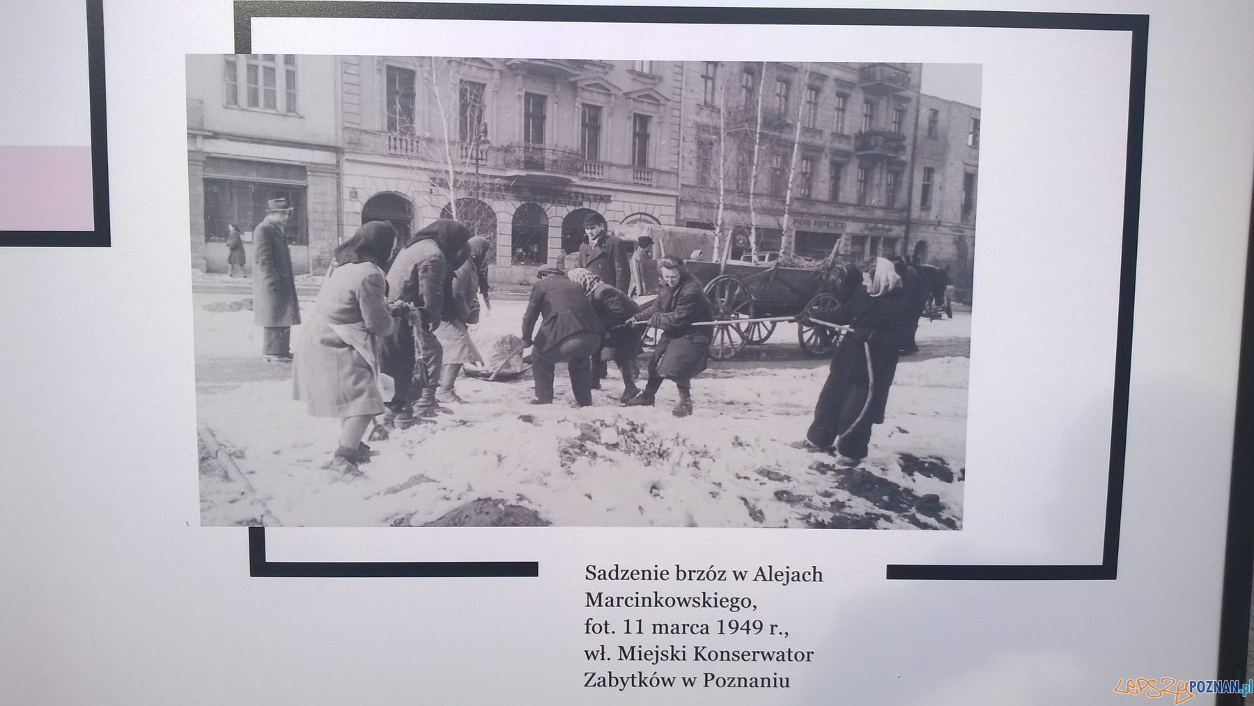 Poznańskie archiwa na Placu Wolności (2) Foto: TD Poznańskie archiwa na Placu Wolności (2) Foto: TD