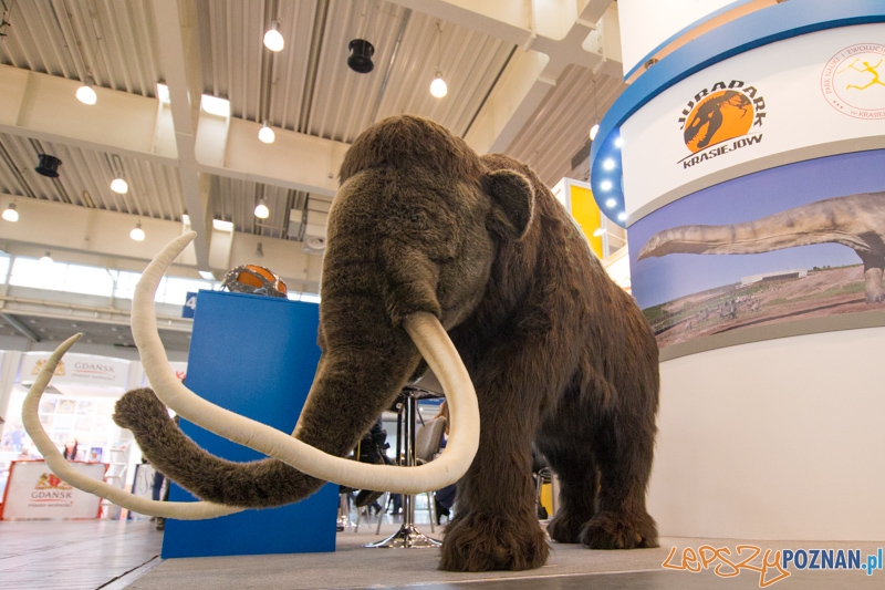 Tour Salon 2014 Foto: lepszyPOZNAN.pl / Piotr Rychter Tour Salon 2014 Foto: lepszyPOZNAN.pl / Piotr Rychter