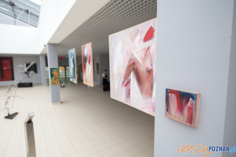 3 lata Term Maltańskich Foto: lepszyPOZNAN.pl / Piotr Rychter 3 lata Term Maltańskich Foto: lepszyPOZNAN.pl / Piotr Rychter